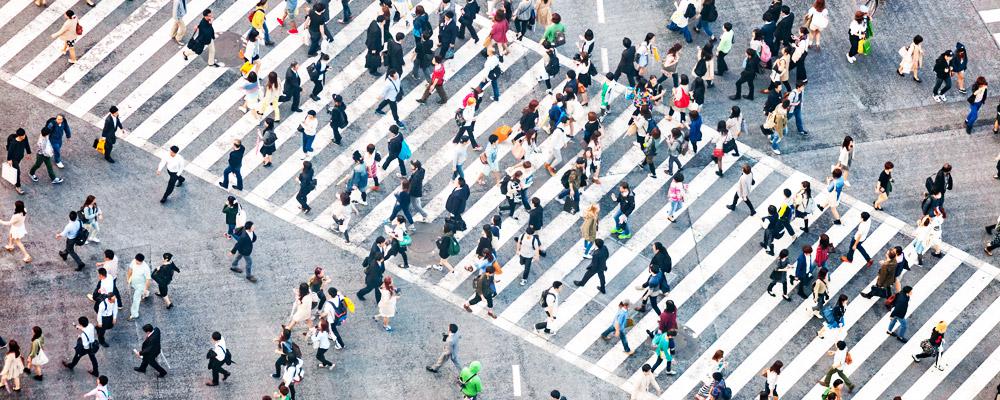 Crédit Conseil de France partenaire de la JCEF 